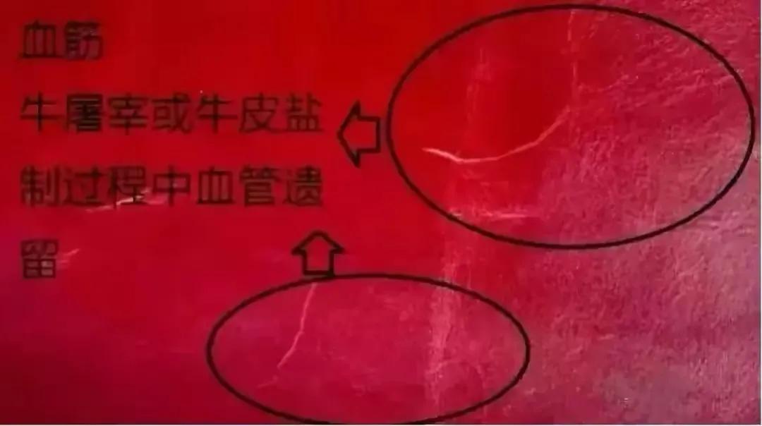 买回家的沙发有伤痕?你买回去的是一头有故事的牛