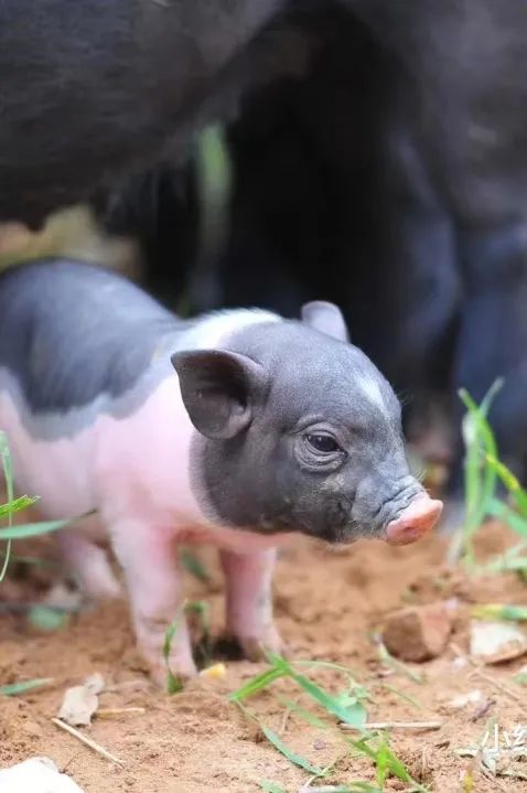 周末遛娃的好去处好玩又免费济南,夏季济南适合遛娃的地方
