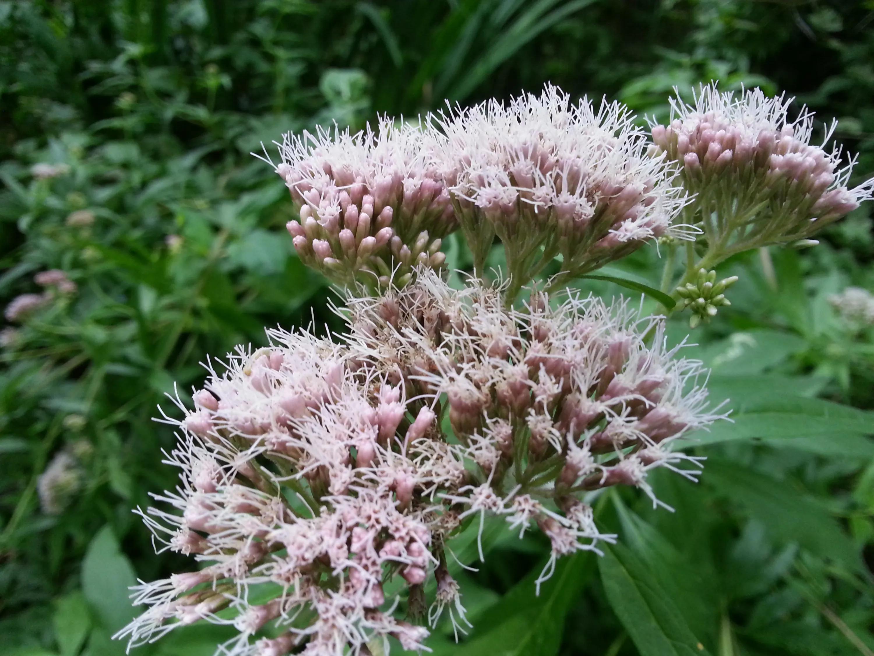 英国伯明翰留学,英国之旅伯明翰