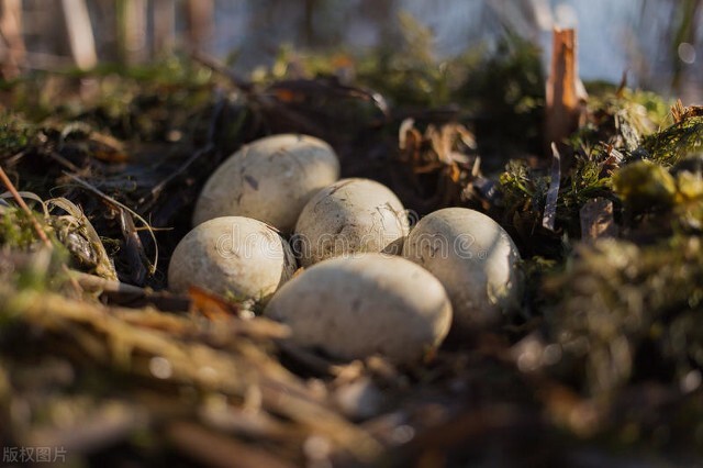 老师叫他滚，他一口气狂怼79个字，老师懵了！电影