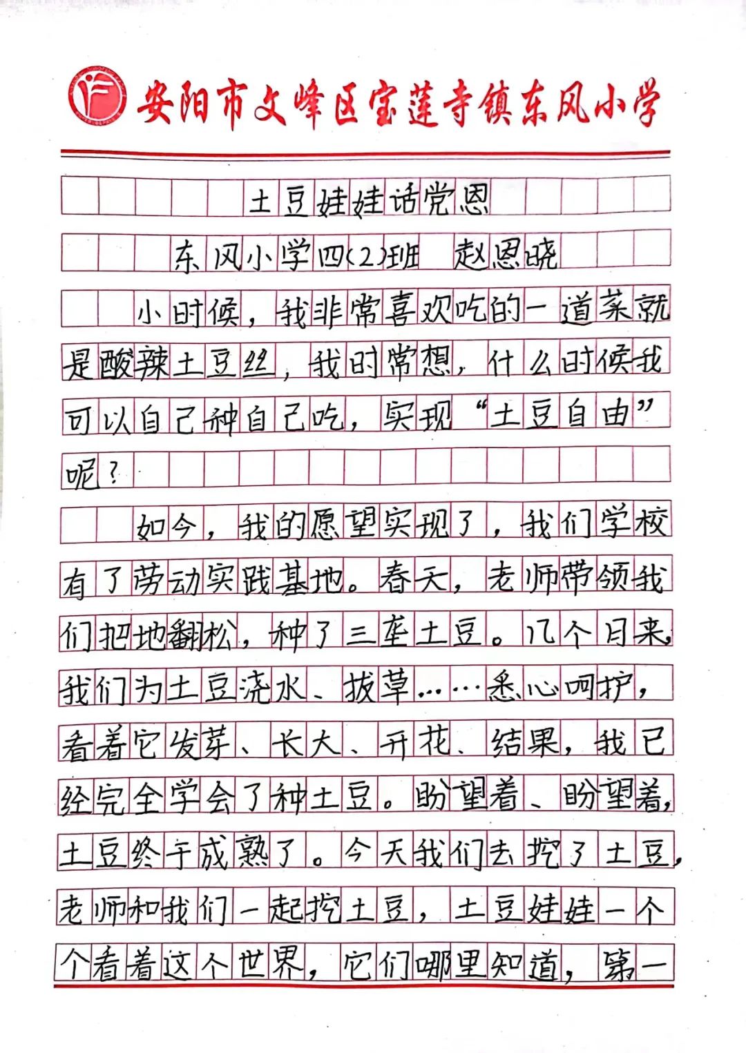 “土”露汗水“豆”耘童年——东风小学劳动教育实践活动之土豆丰收季