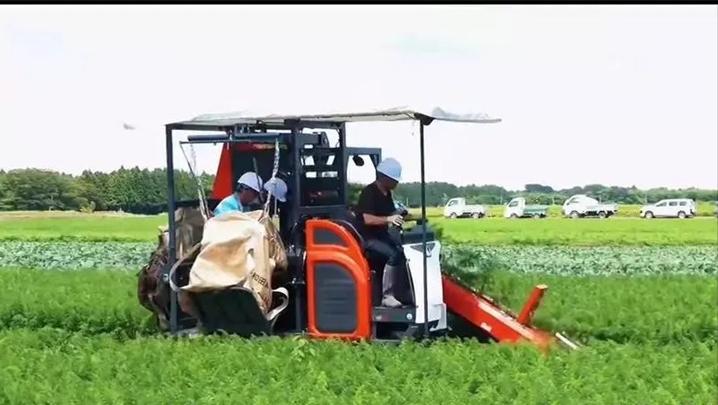 2006年，政府牵头组织租给日方千余亩地，日本人却闲置多年，为何