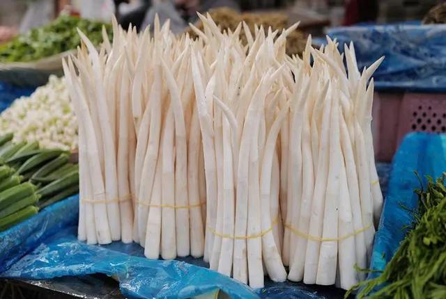 冬天云南最佳养老地方,适合老人去云南旅游的地方推荐