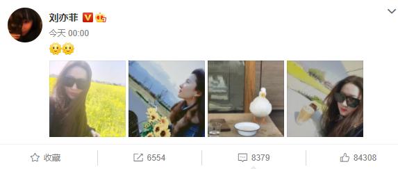 刘亦菲怼脸高清未修图曝光,刘亦菲自拍感觉和真实脸型差很多