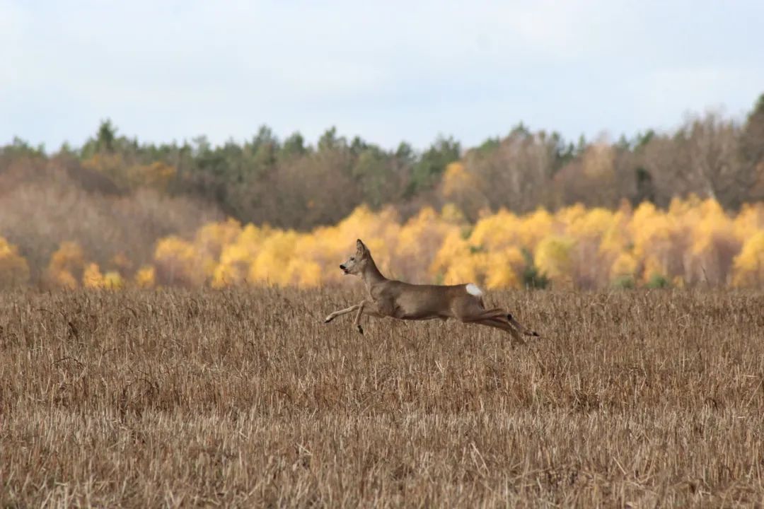 来一场西安之旅吧,来一场穿越千年的相遇