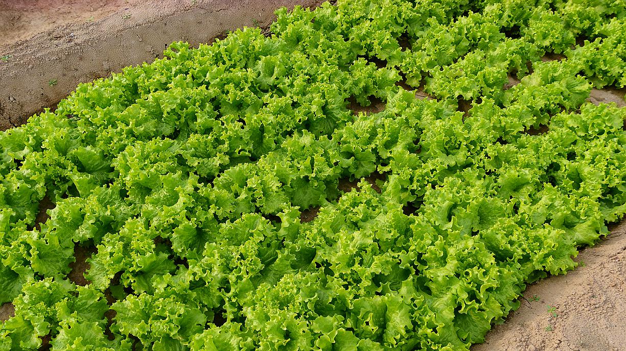 中老年人腿软无力是什么原因,老年人腿发软怎么回事