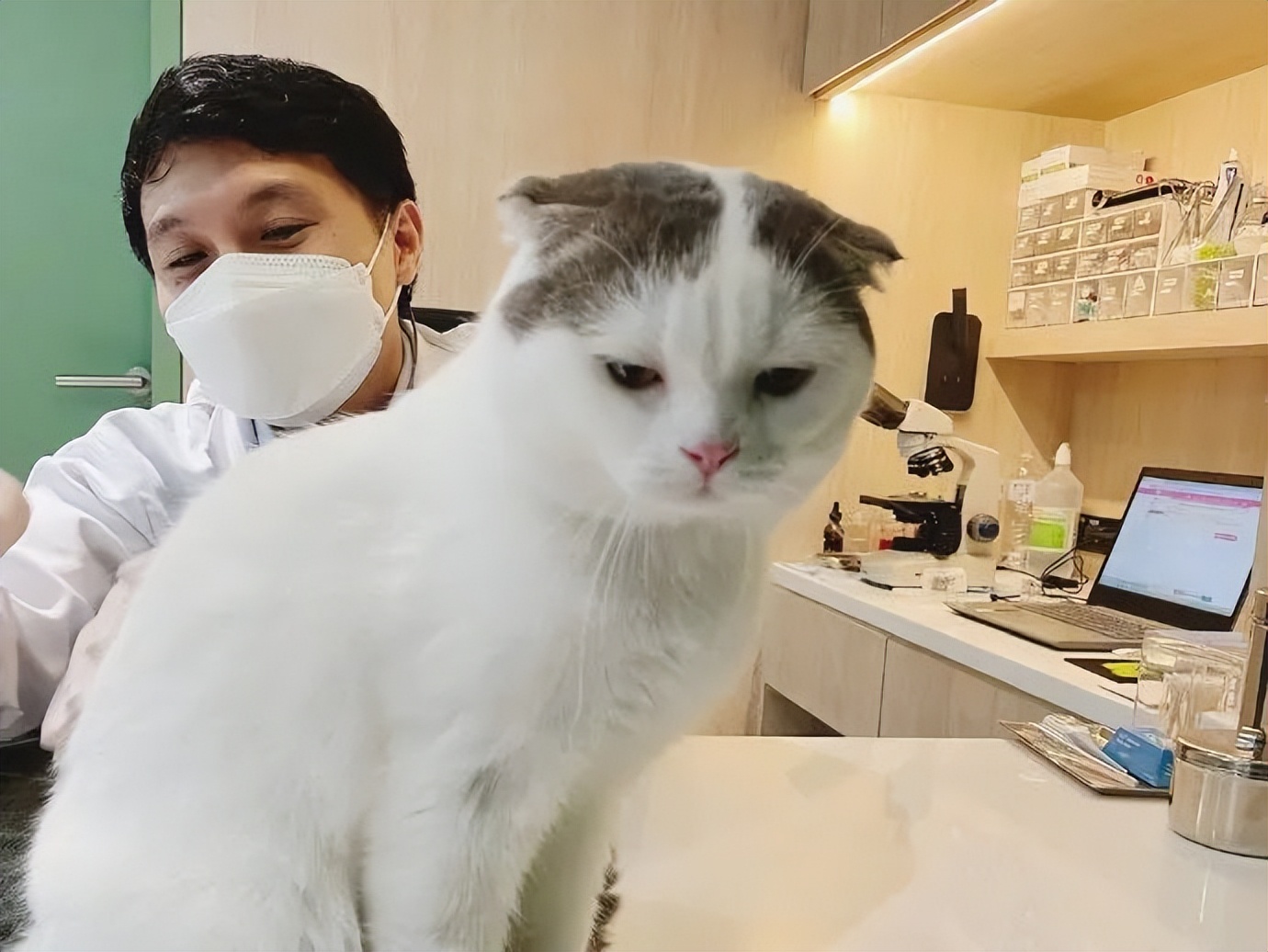 情人节冷笑话段子,情人节冷笑话段子大全