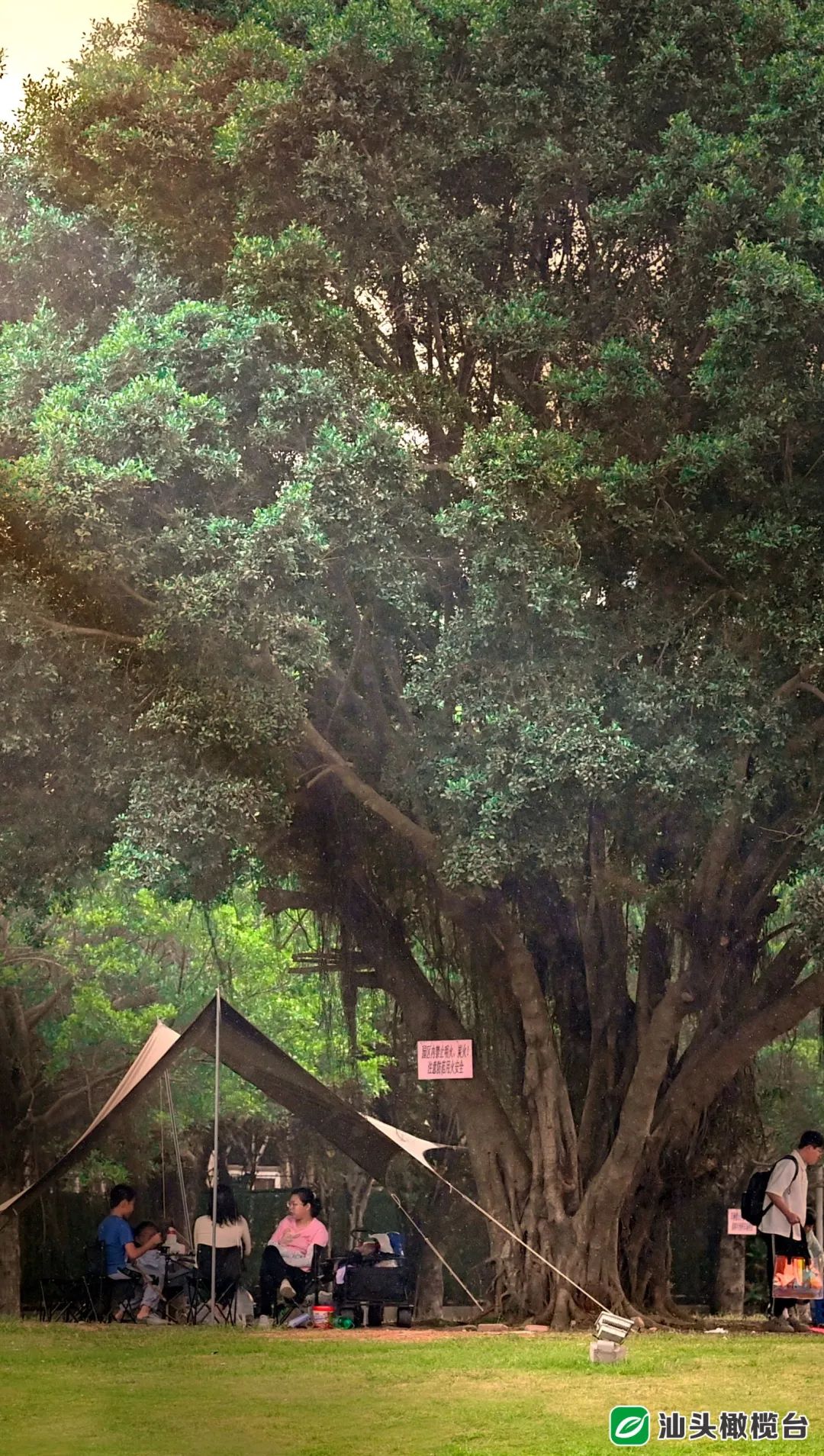 楠溪江露营基地帐篷,东江湖帐篷露营的好地方