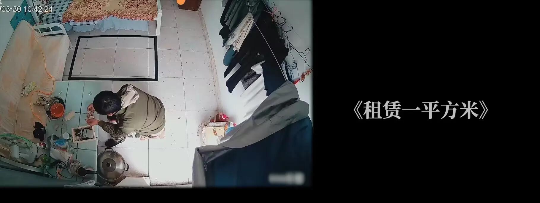 关于“伤害”的实验艺术，是为了给予更多关注和思考