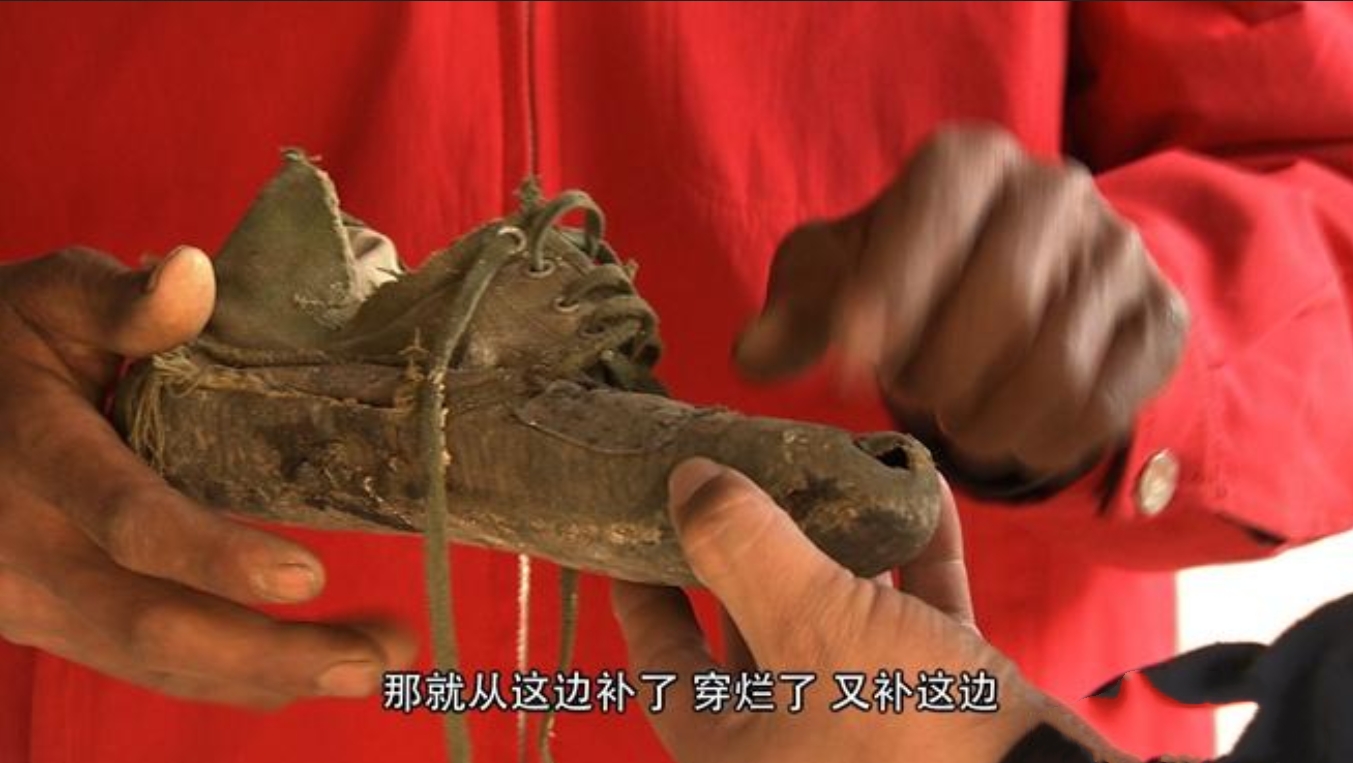 云南惊现怪羊,云南出现黑色怪羊