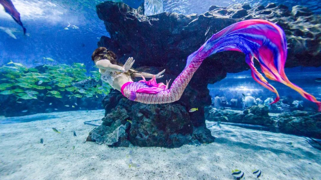 天津遛娃圣地,天津周末免费遛娃好去处