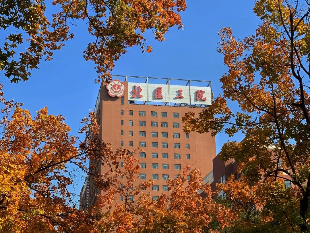 一线生机高清完整版,一线生机电影