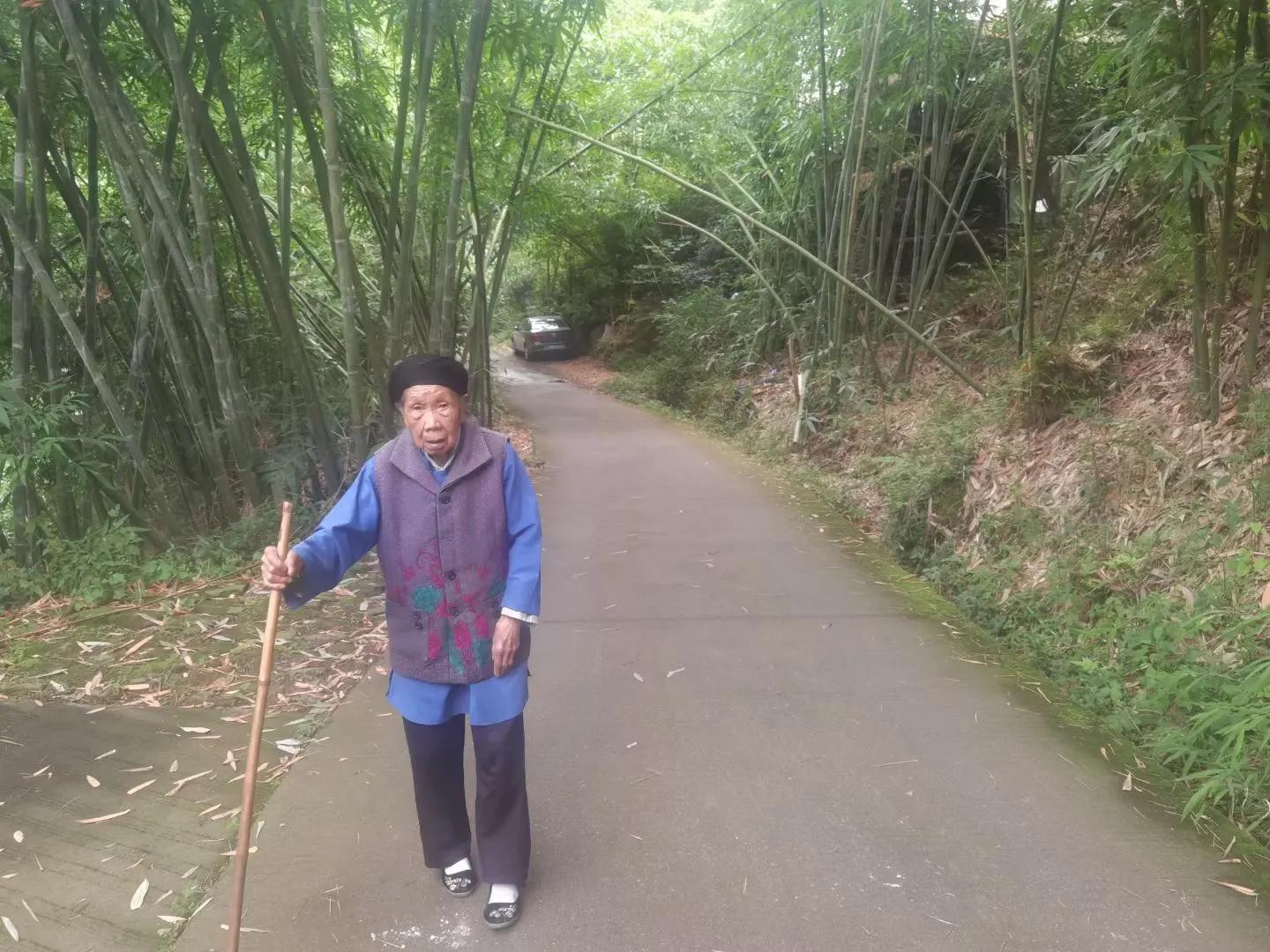 端午游竹园风景,端午节去轿子山赏杜鹃花海