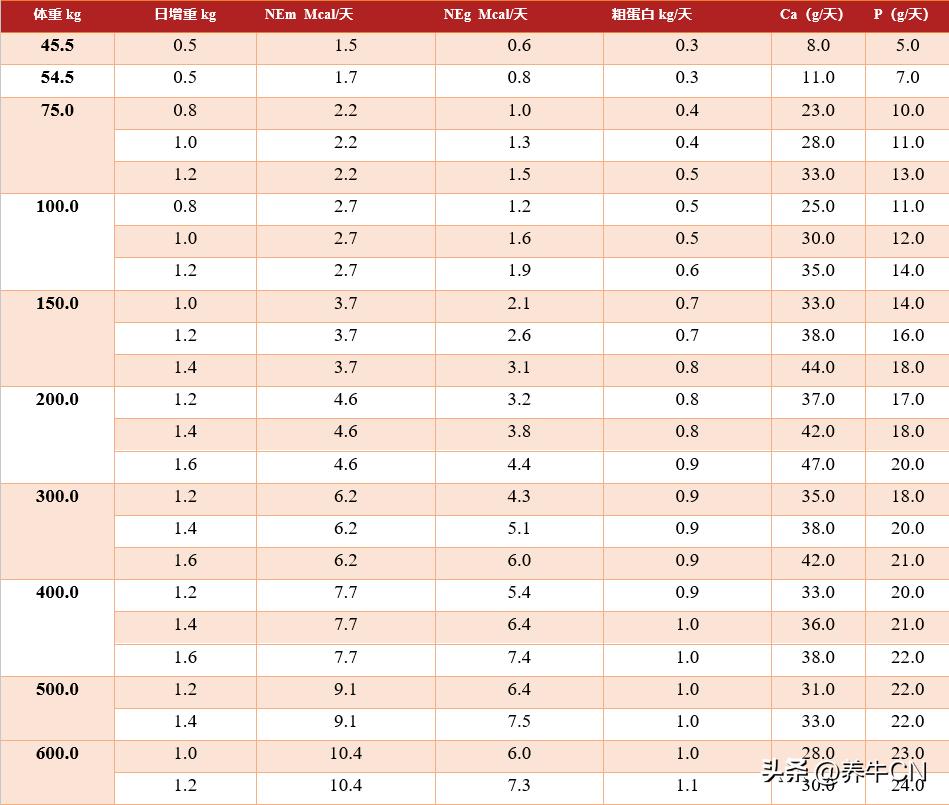 奶牛群的肉用策略分析
