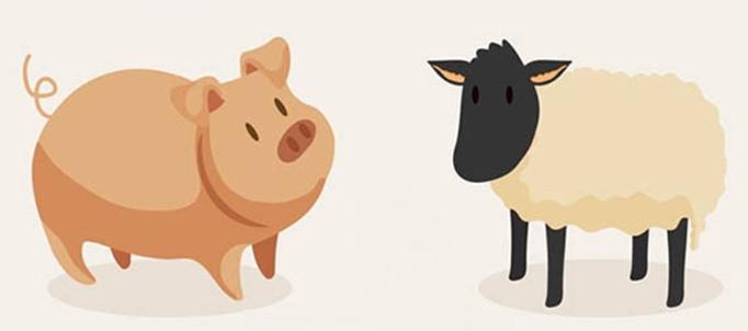 减肥吃红肉好还是白肉好,减肥期间吃白肉还是红肉