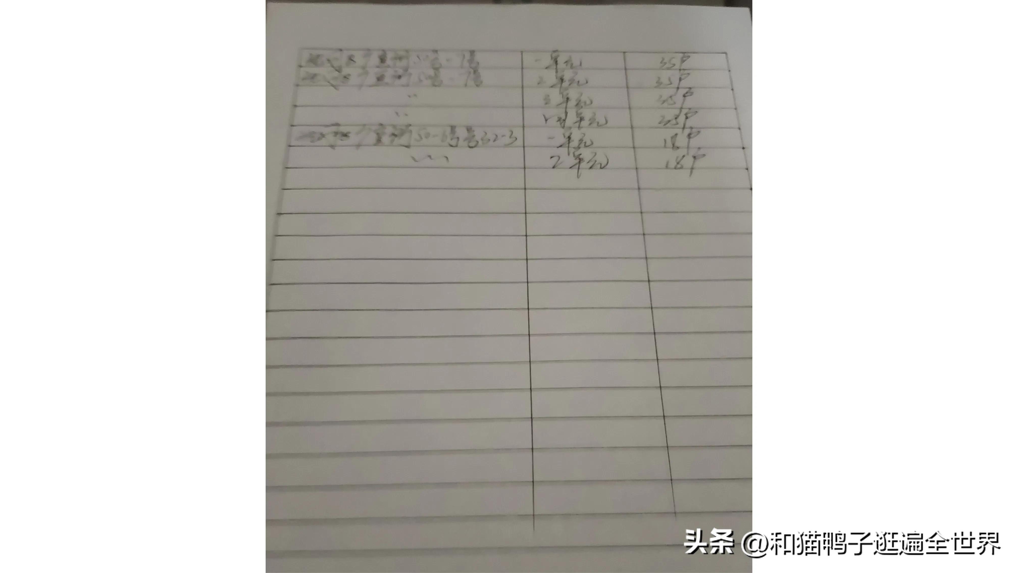 大学生打工实践报告,大学生打工纪实片