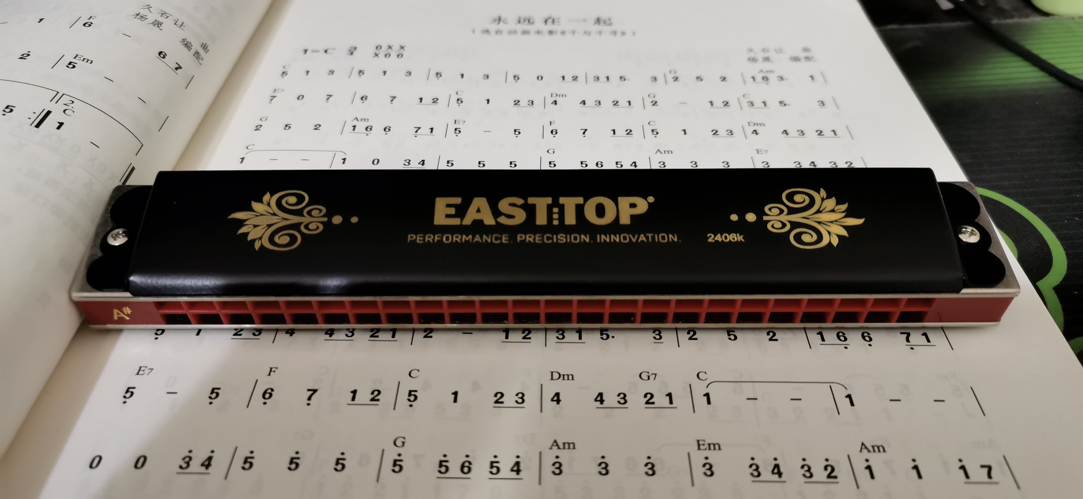 铃木金蝶口琴,铃木口琴