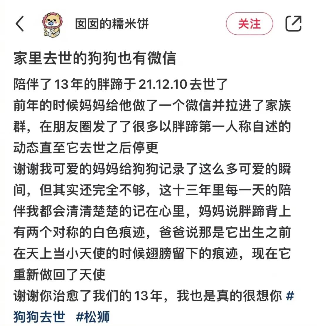 老妈给狗申请微信号,拉进家族群,每天更新朋友圈…可看完我却哭了