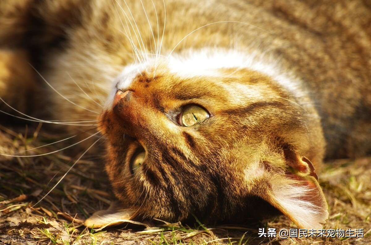 鐚挭鍙戞儏浜嗗彲浠ユ礂婢″墐姣涘悧,鍏尗鍜墐姣涘悗鍙戞儏鎬庝箞缂撹В