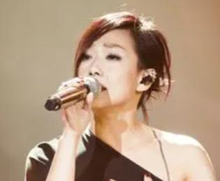 中国乐坛最有成就的音乐人,华语乐坛地位最高的音乐人是谁