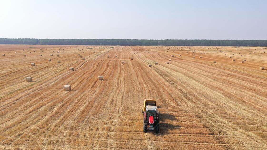 藏在农村的暴利生意美国,60年代美国暴利行业