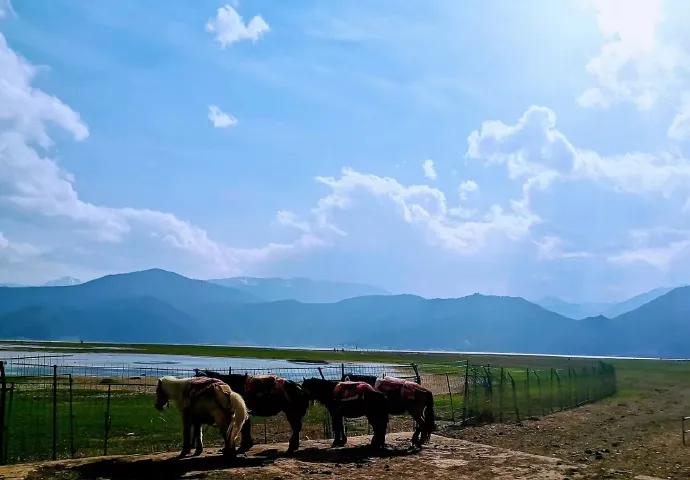 云南自驾游记录,广州自驾云南