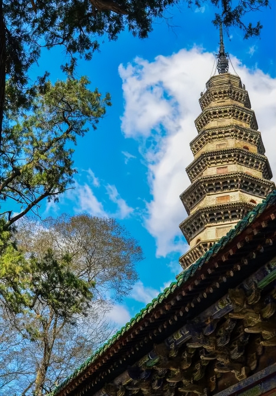 济南旅游公交专线有哪些 (济南近郊公交直达的游玩场所)