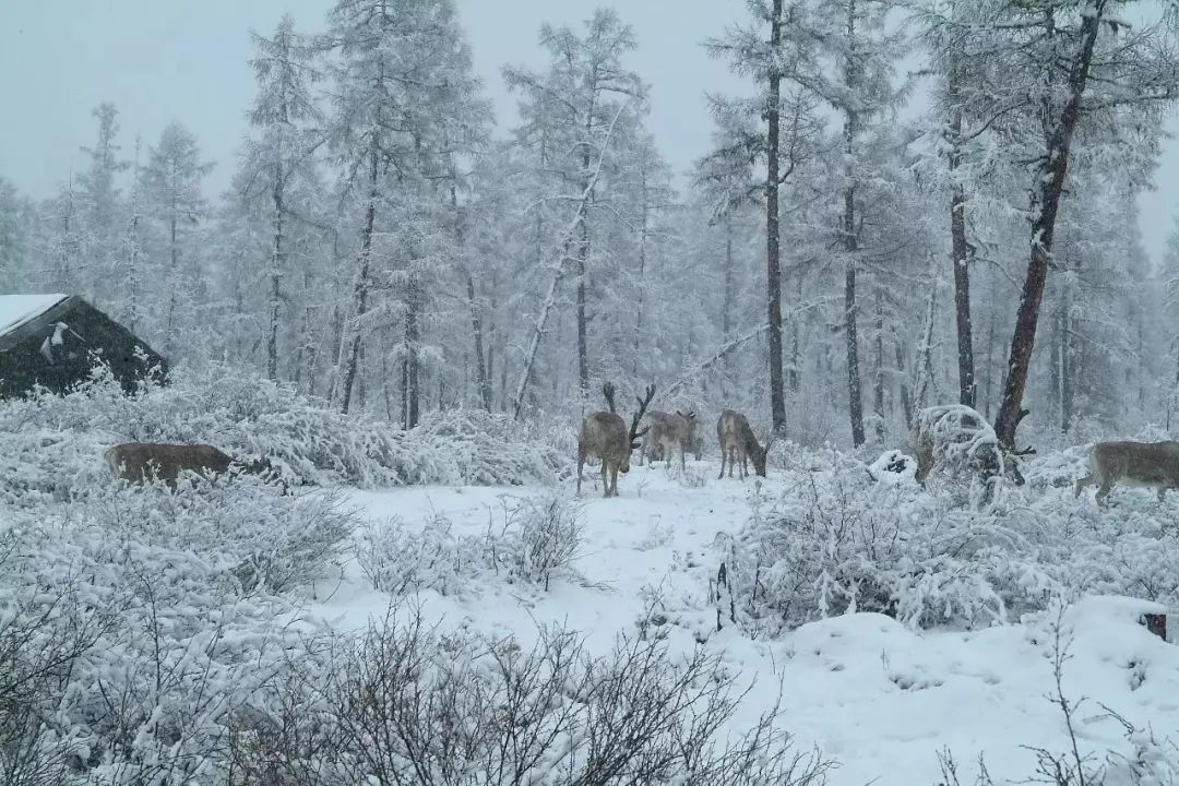铁道兵红色记忆,铁道兵记忆大全