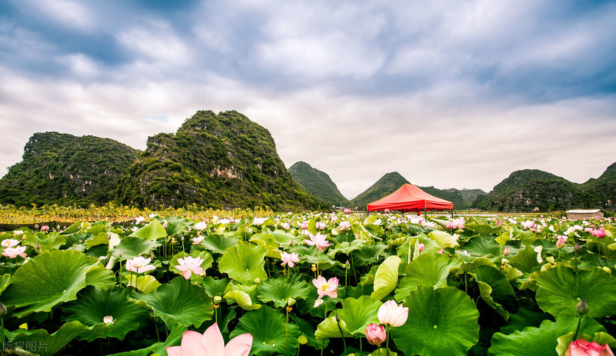 普者黑旅游攻略云南7日游,广州出发广西四天三晚旅游攻略