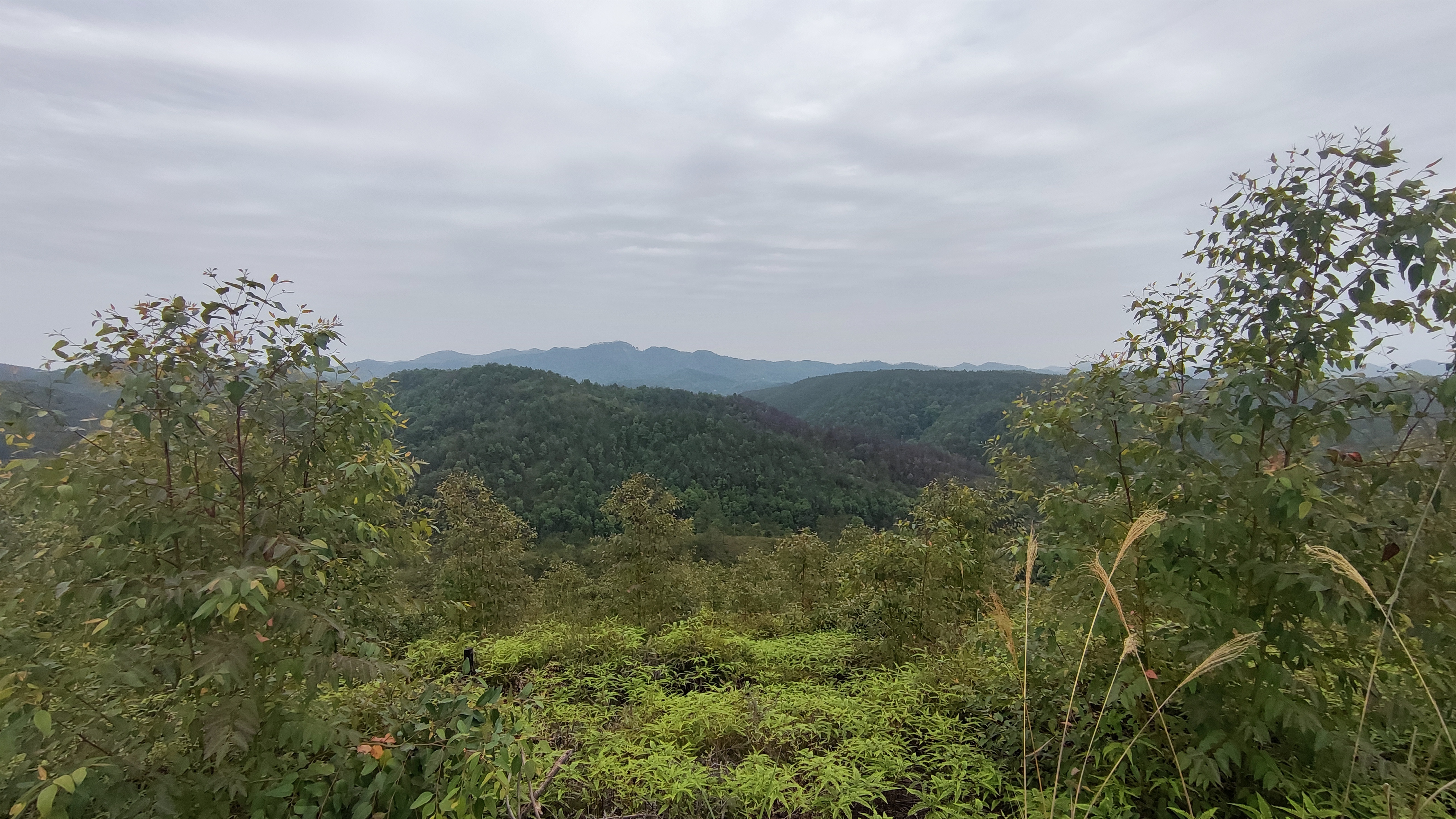 饮水思源的水是什么水,饮水思源的源怎么写