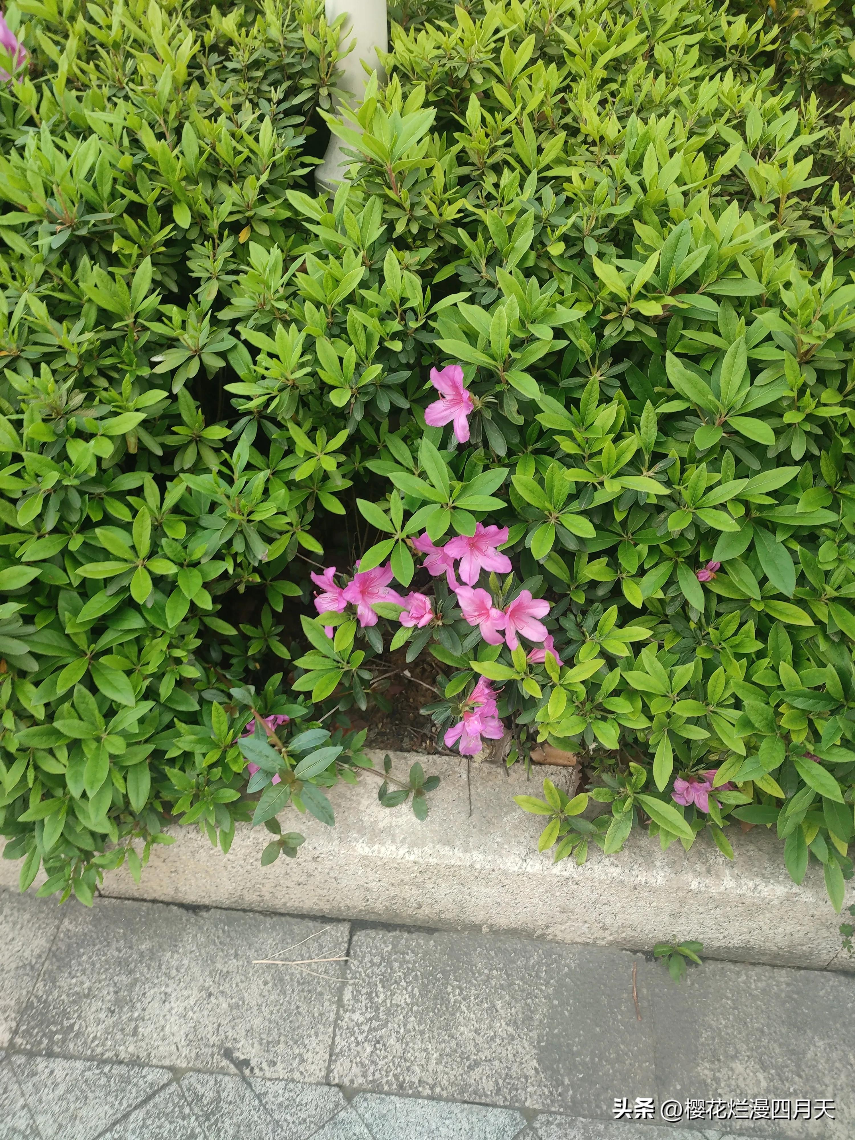 3月份交多少费用,3月份要缴纳的费用是多少