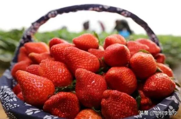 小小说卖米的作者,小小说番茄小说