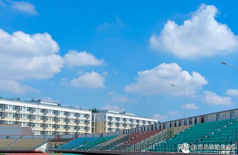 红橙黄绿青蓝紫，pick出你心中的青岛农大色彩