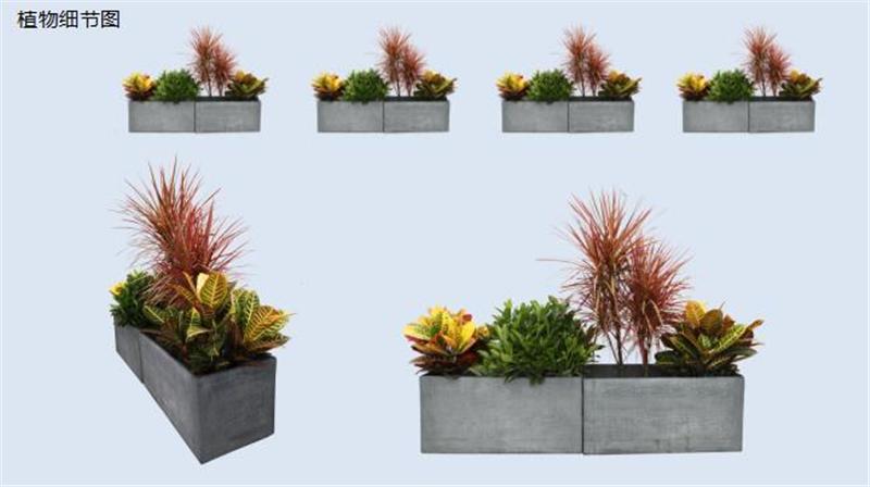 从小花店到年入900万元园艺名企，看温州绿趣的两次转型