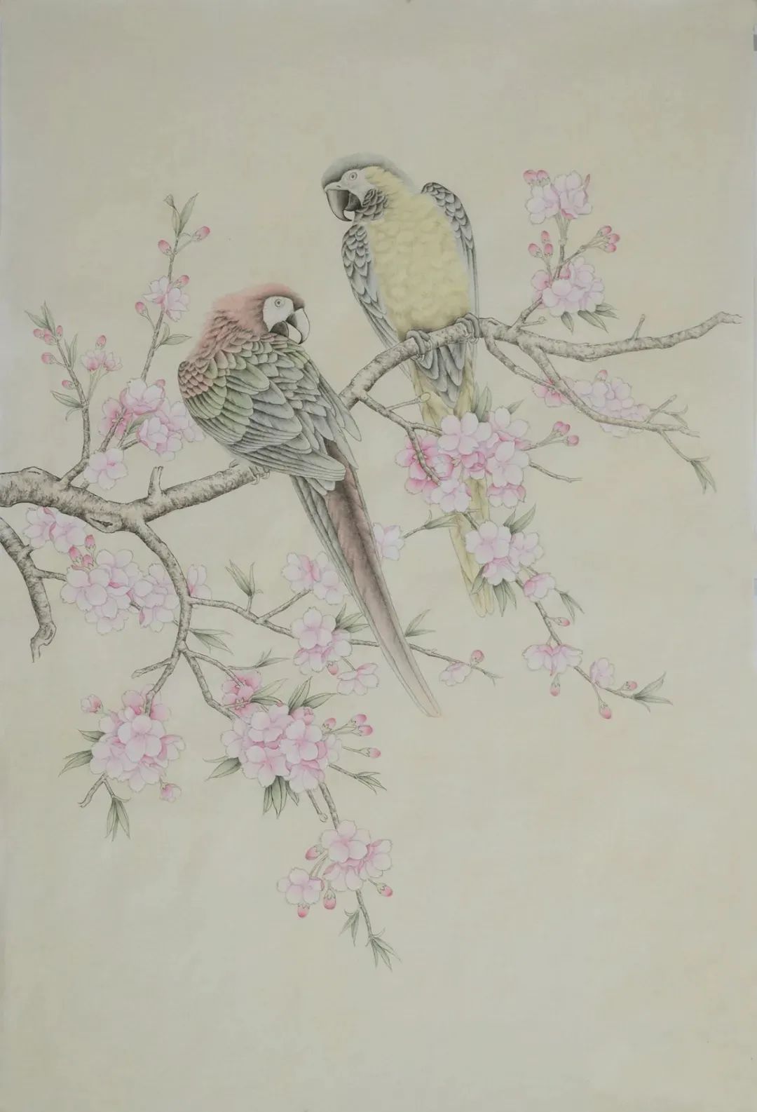 工笔画鹦鹉技法大全,工笔鹦鹉的画法和视频