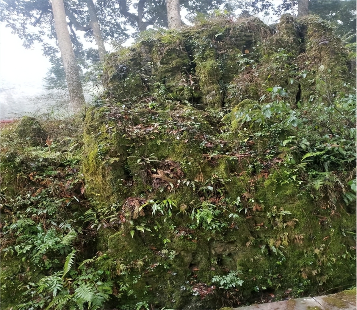 荥经云峰寺“飞来石”的搬运工是唐朝名将韦皋