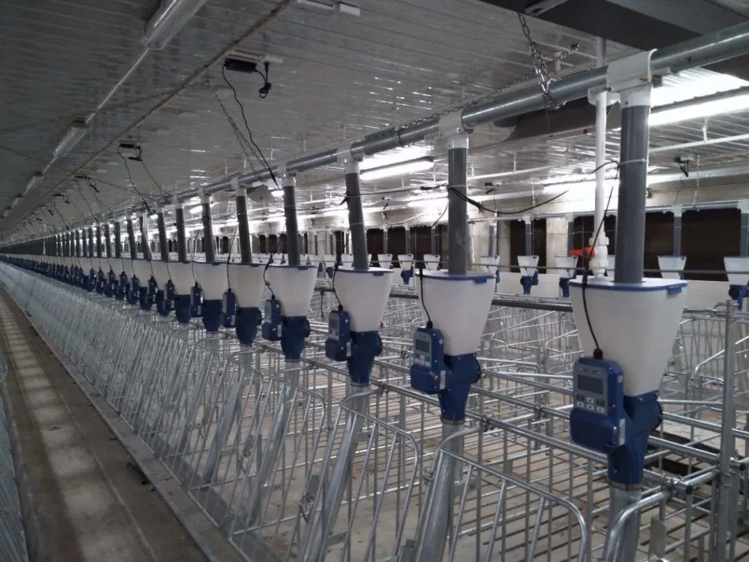 国家投资40亿盖26层高楼养猪，万一赔本怎么办？来算算这笔科技账