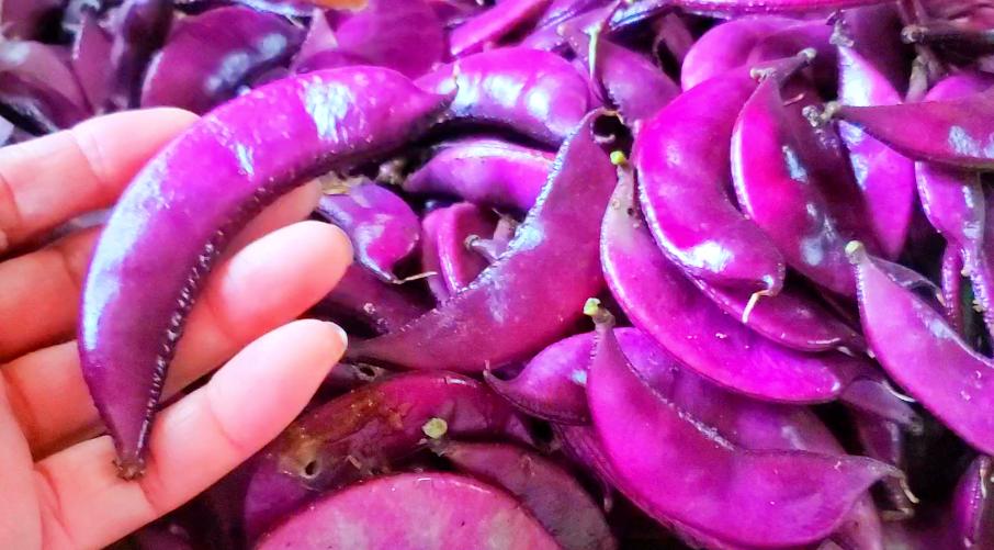 这种野菜做成凉菜非常好吃,美味下饭野菜新做法