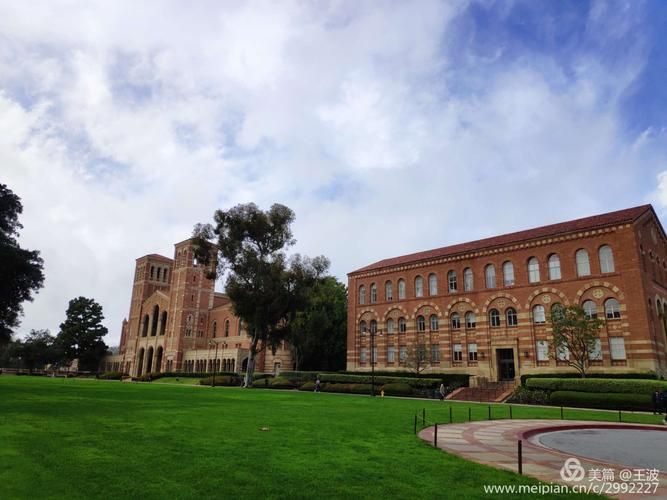 ucla缇庡浗鎺掑悕,缇庡浗ucla澶у