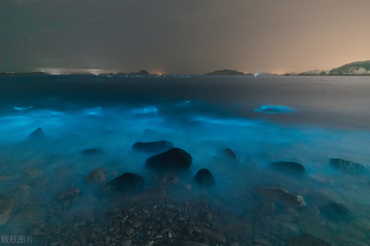 最美荧光海滩,夏天海边治愈系日常风景