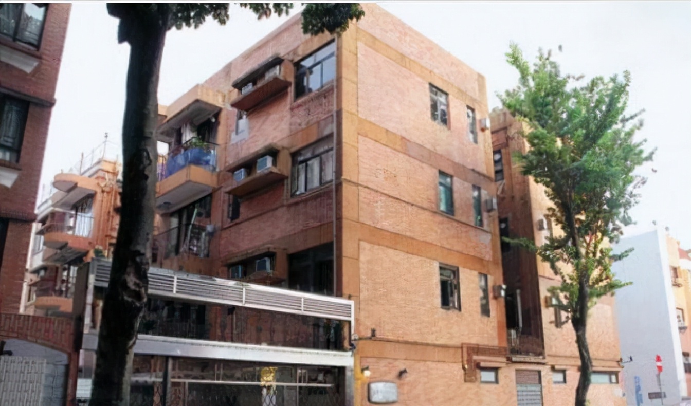 2个富豪打架,陈红前夫李军和沈星个人资料