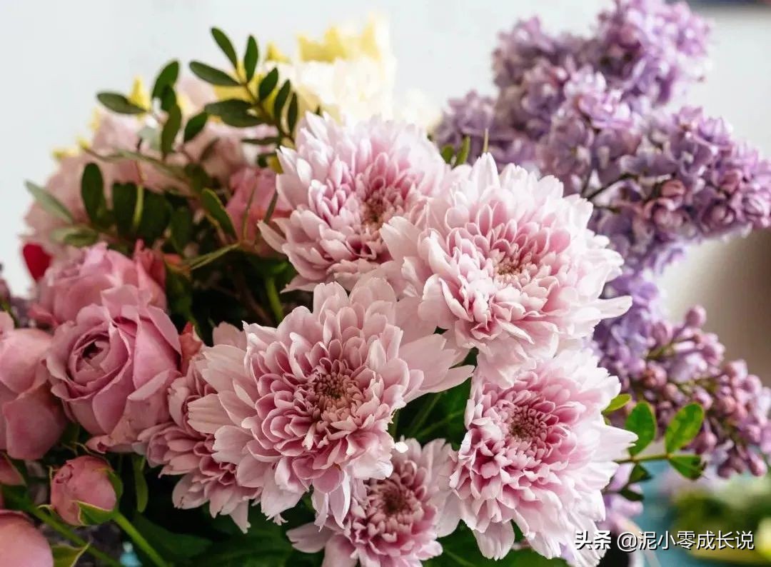 新手入门快速学习写作,新手入门级写作教程