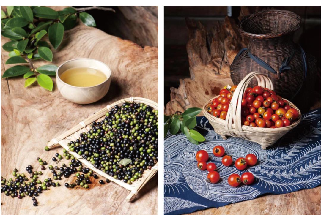 广西酸笋番茄煮酸汤鱼,贵州酸笋酸汤鱼