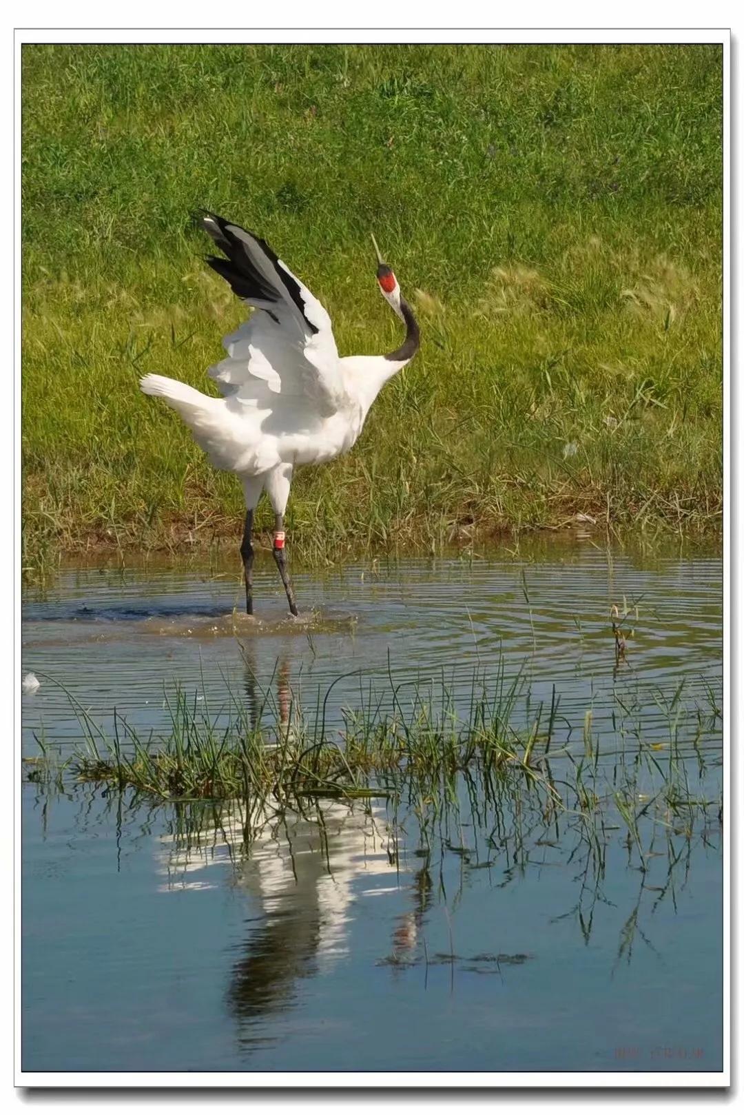 尼康d90是最经典的一款,尼康d9008年价格