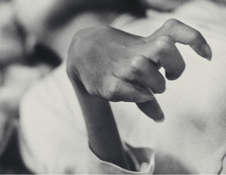 日本猫跳海,日本猫跳海事件