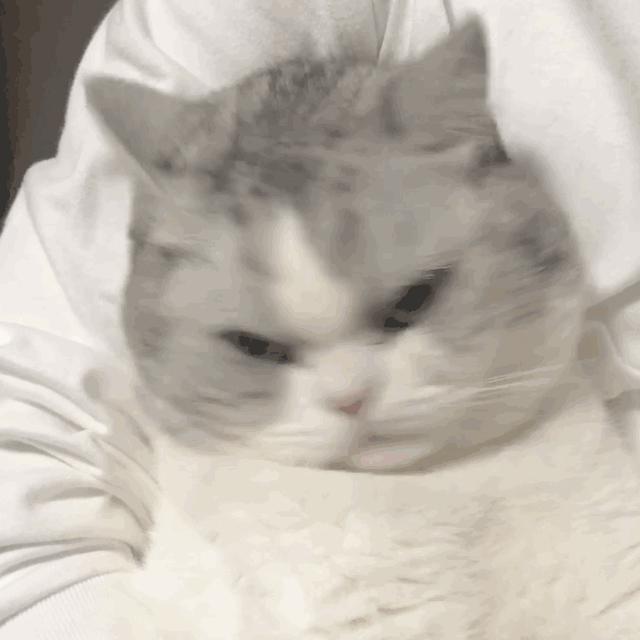 有关温柔和浪漫的表情包,浪漫而不烂俗的表情包