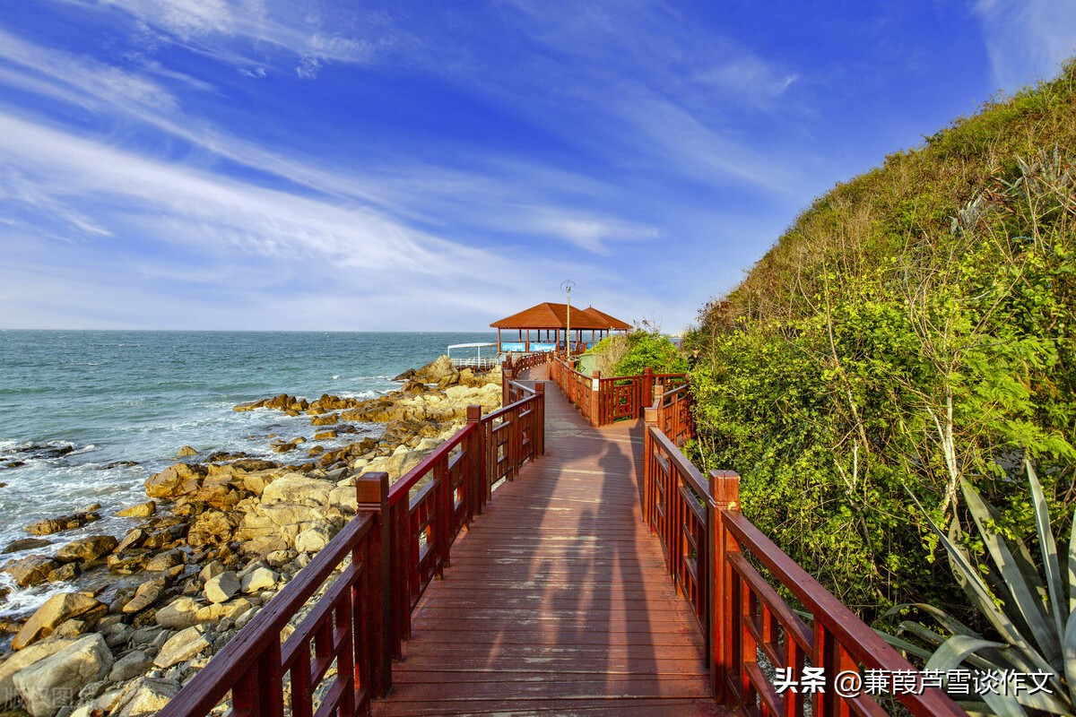 小练笔议论文功夫不负有心人,小练笔的作文