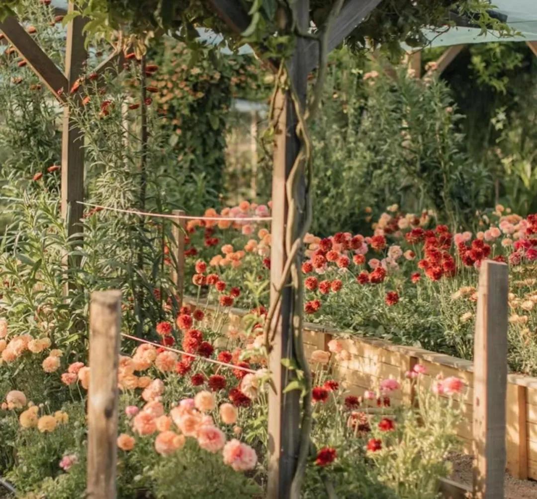 几种方法测试你的命,西安求运势哪最灵验