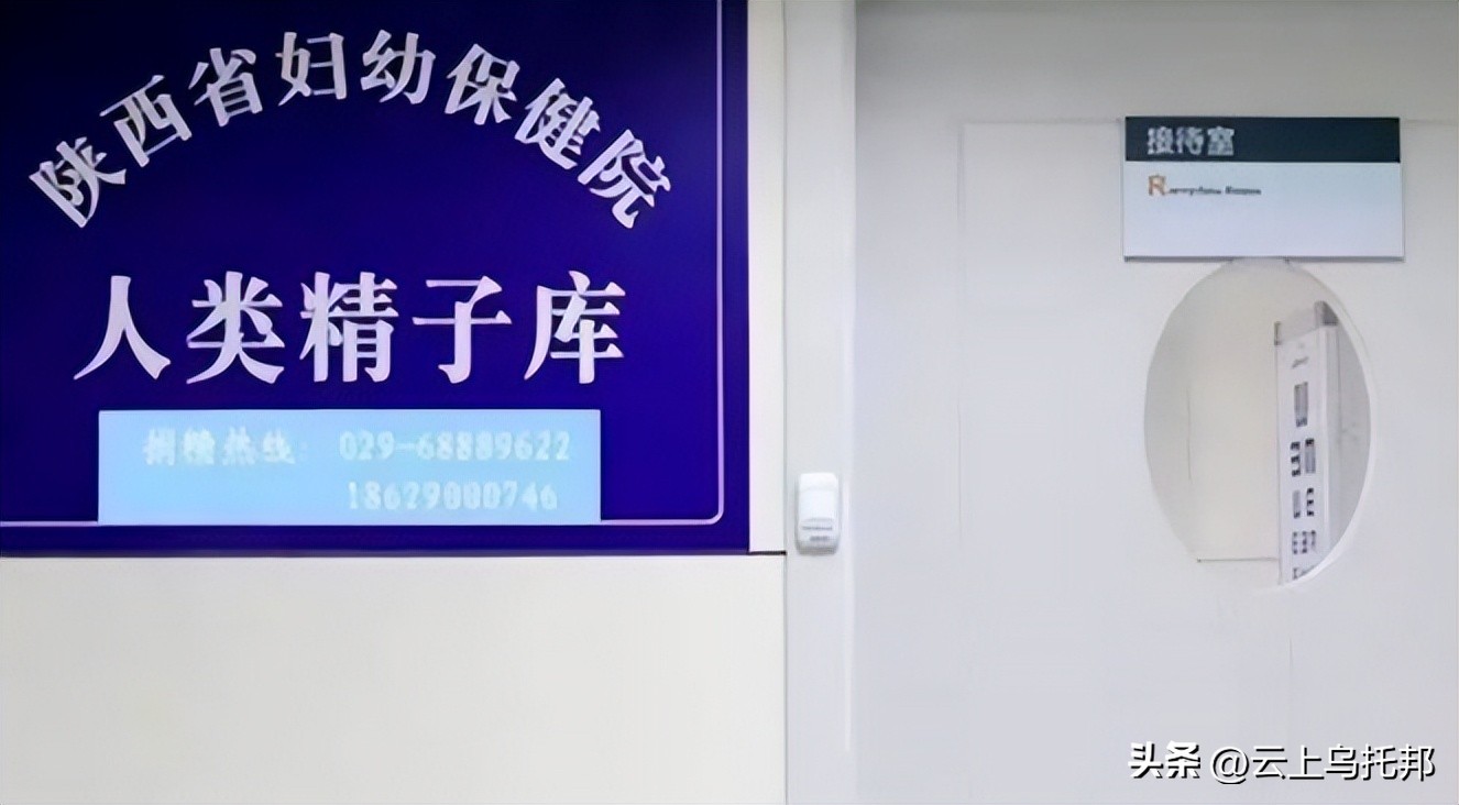 吉林女孩花50万,花500万买精产子的女子