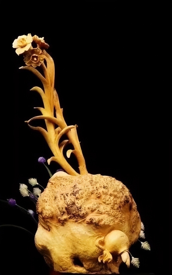 最好看的黄杨木,十种最好看的黄杨木